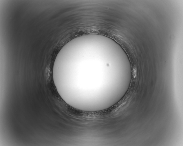 X0000089751011200706210919