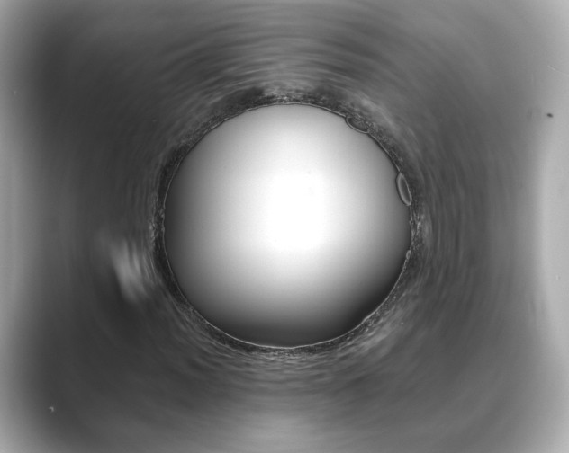 X0000089751012200706210919