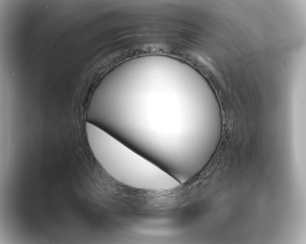 X0000089751015200706210919
