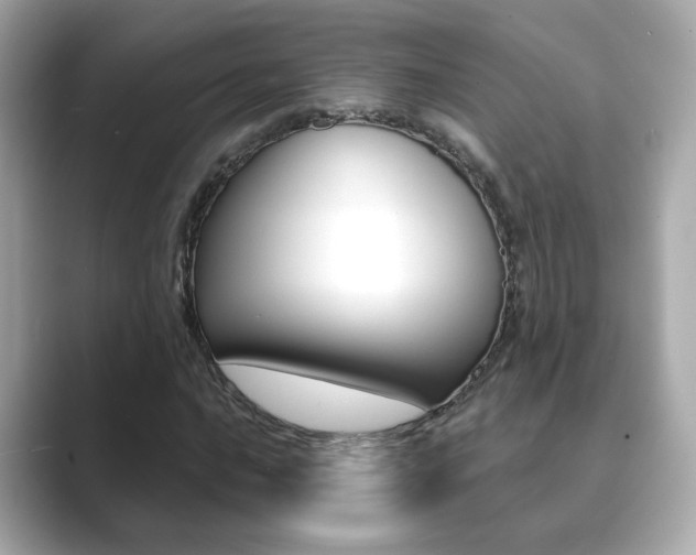 X0000089751016200706210919