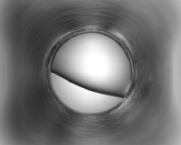 X0000089751019200706210919