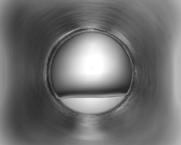 X0000089751020200706210919