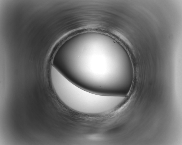 X0000089751021200706210920