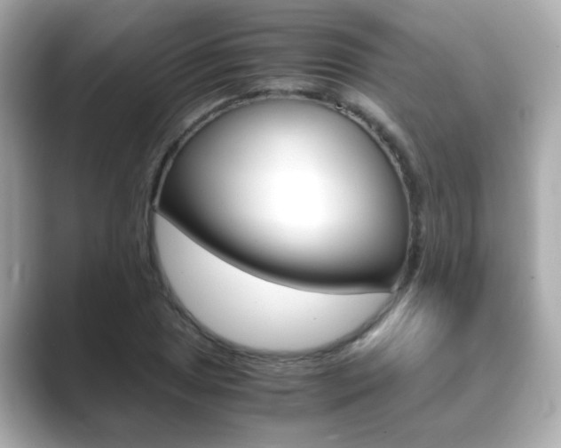 X0000089751025200706210920