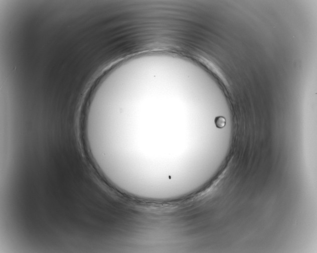 X0000089751026200706210920