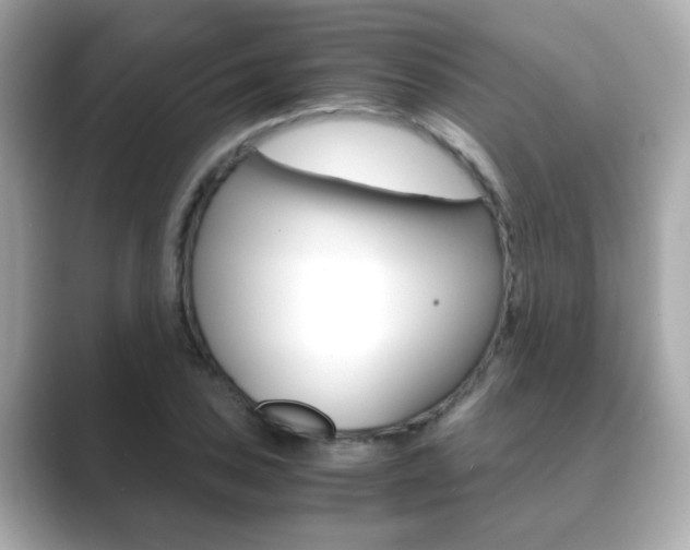 X0000089751027200706210920