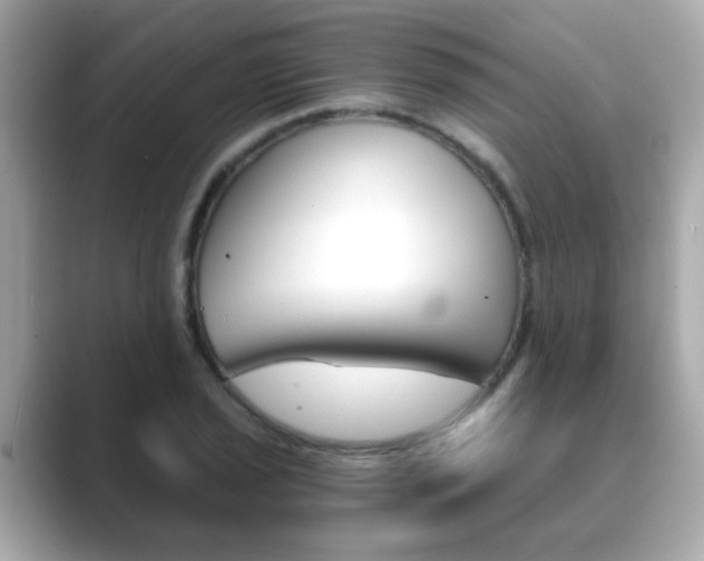 X0000089751029200706210920
