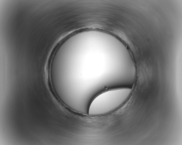 X0000089751032200706210920