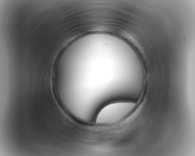 X0000089751033200706210920