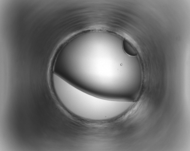 X0000089751037200706210920