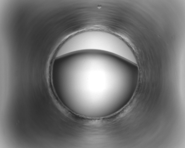 X0000089751038200706210920