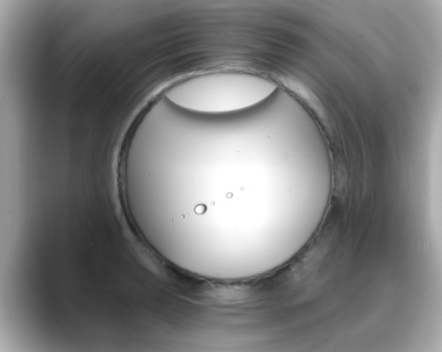 X0000089751039200706210920