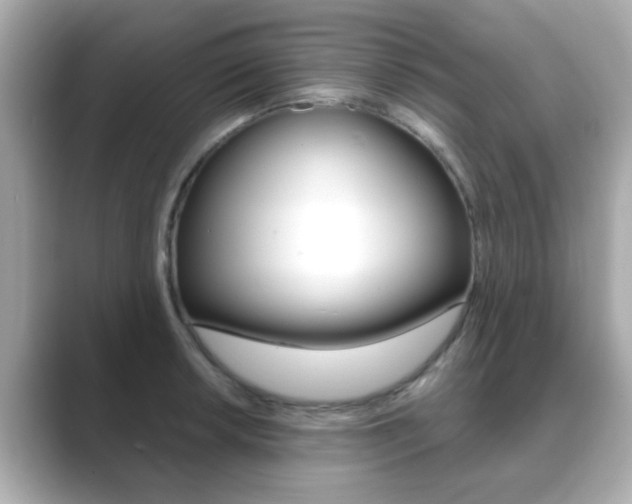 X0000089751042200706210920