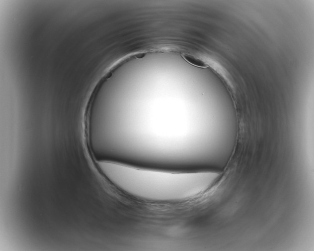 X0000089751047200706210920