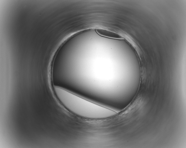 X0000089751048200706210920
