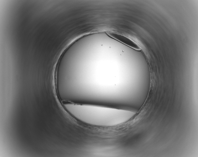 X0000089751055200706210920