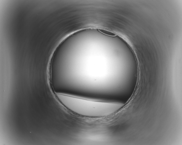 X0000089751056200706210920