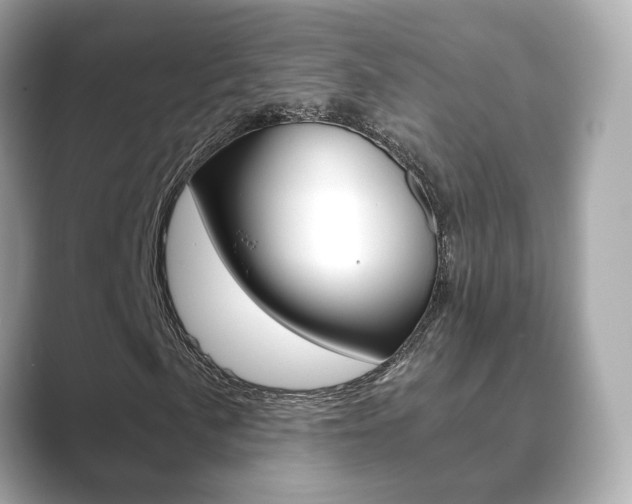 X0000089751057200706210919