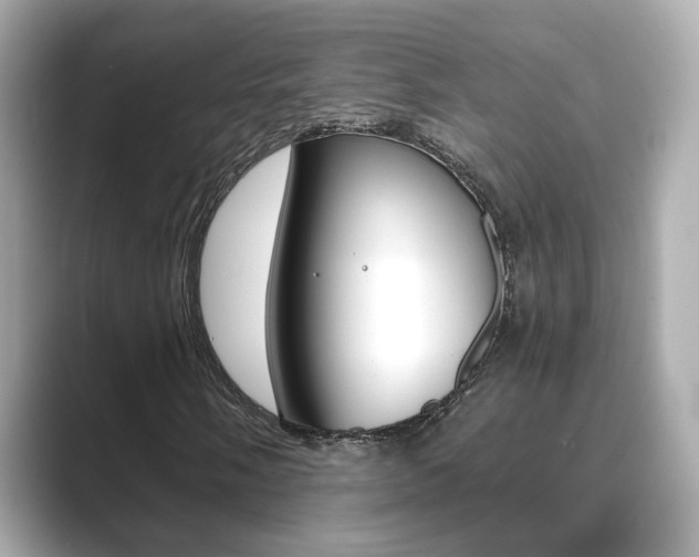 X0000089751058200706210919