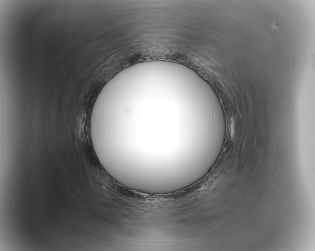 X0000089751059200706210919