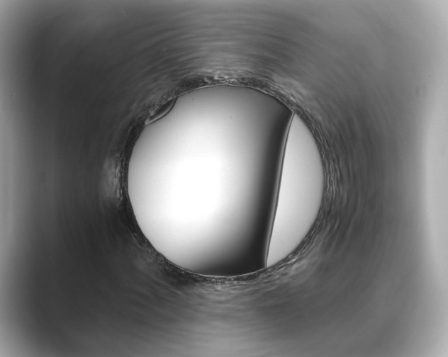 X0000089751060200706210919