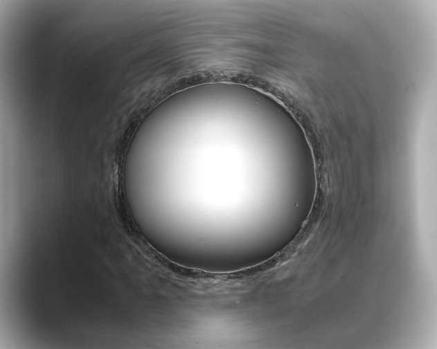 X0000089751061200706210919