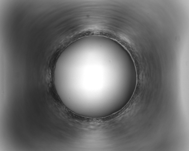 X0000089751062200706210919