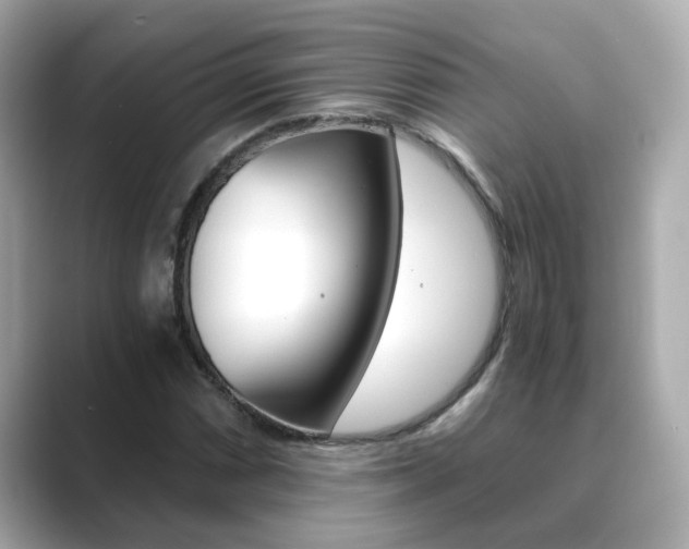 X0000089751066200706210919