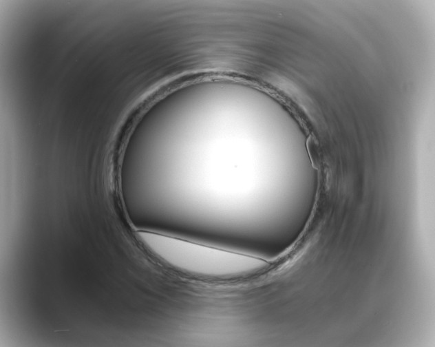 X0000089751069200706210919