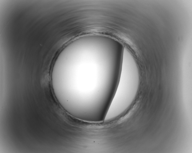 X0000089751073200706210919