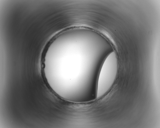 X0000089751076200706210919