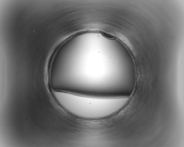 X0000089751080200706210919