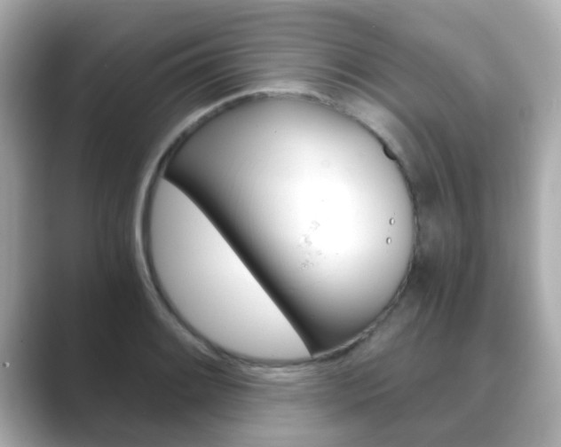 X0000089751084200706210919