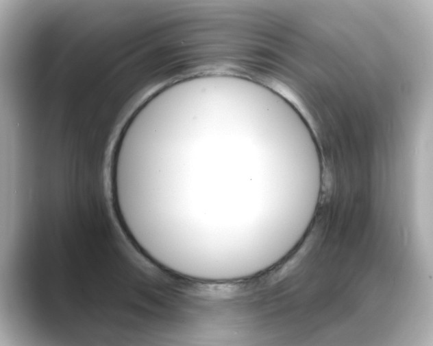 X0000089751090200706210919