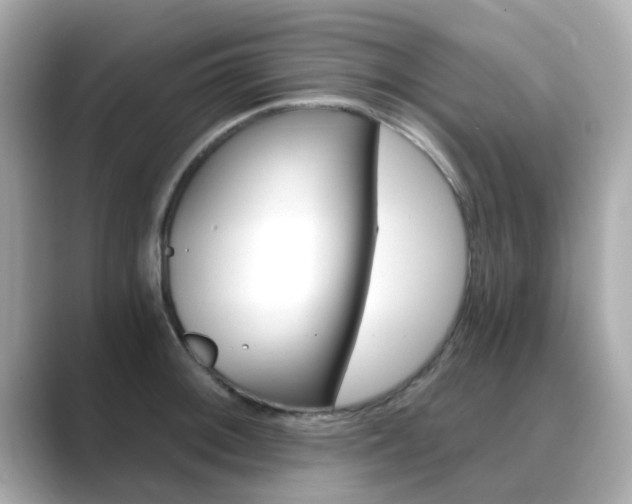 X0000089751092200706210919