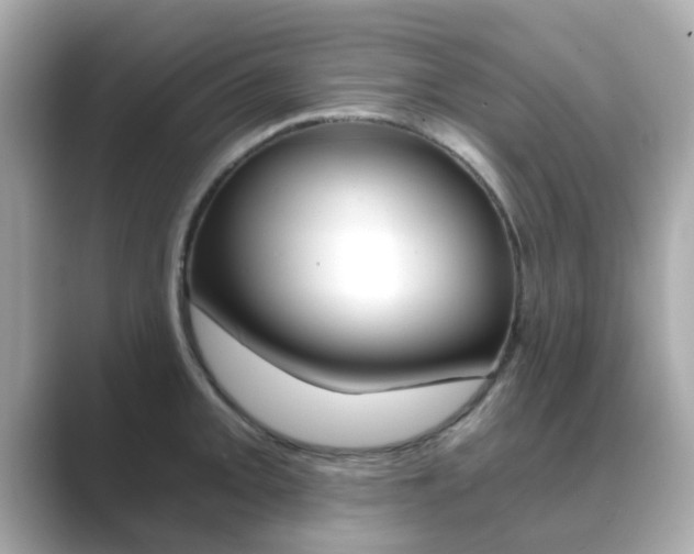 X0000089751093200706210919