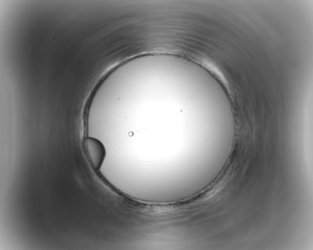 X0000089751095200706210919