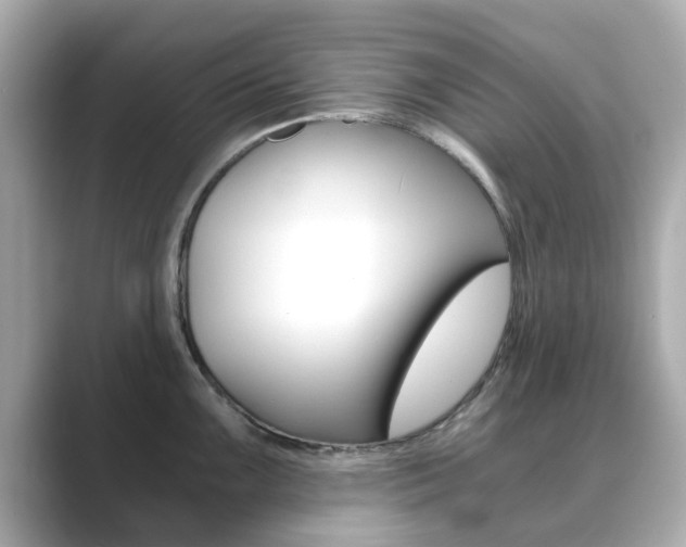 X0000089751099200706210919