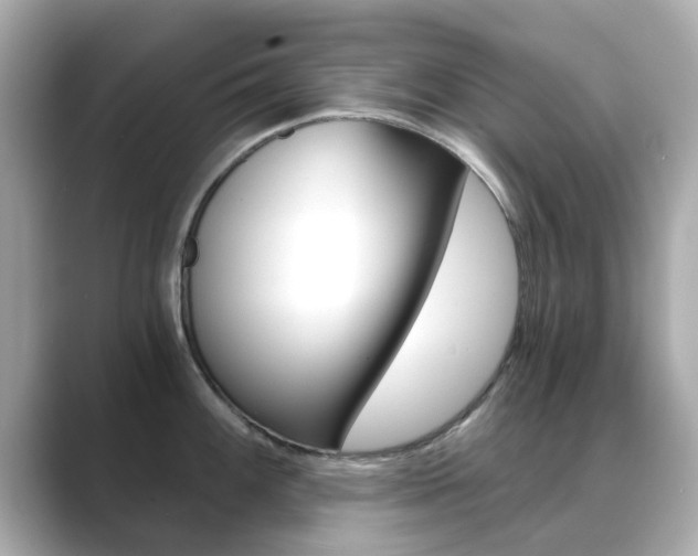 X0000089751100200706210919