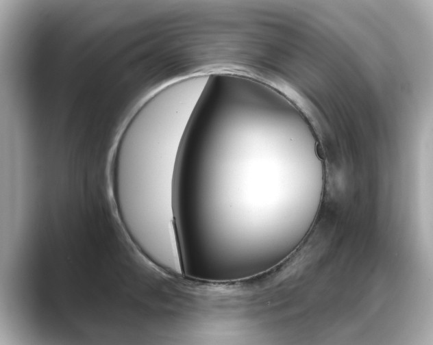 X0000089751102200706210919