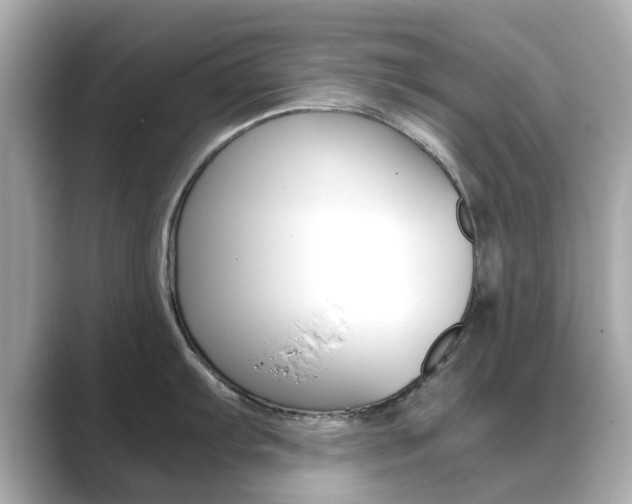 X0000089751103200706210919