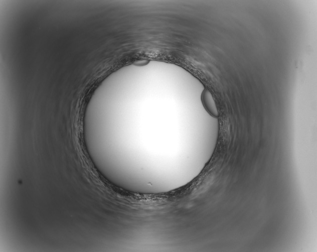 X0000089751105200706210918