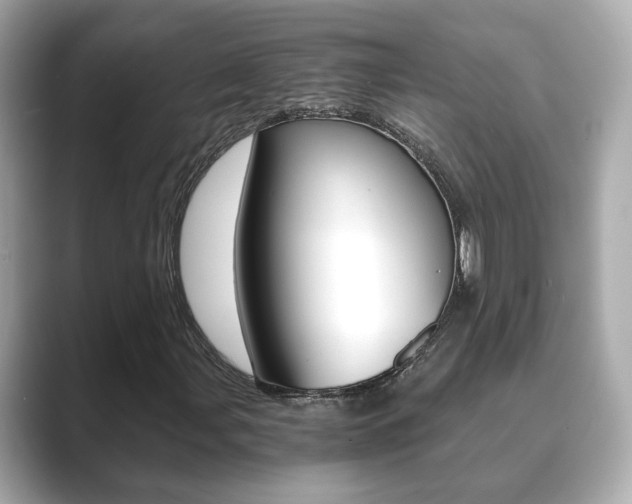 X0000089751107200706210918