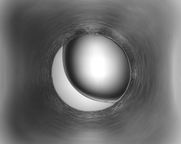 X0000089751108200706210918