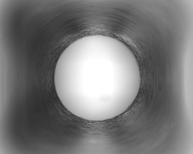X0000089751110200706210918