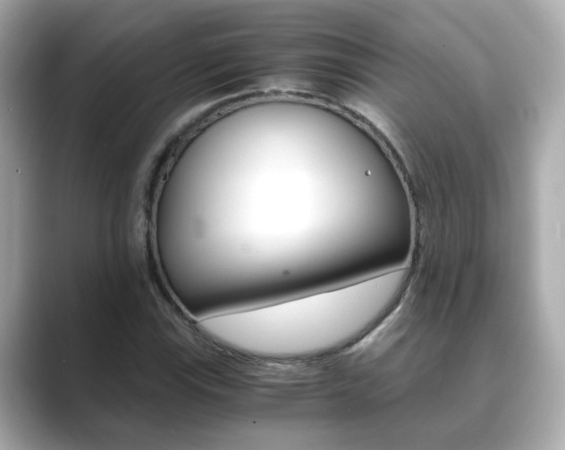 X0000089751115200706210918