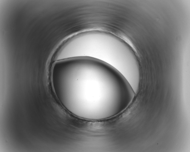X0000089751116200706210918