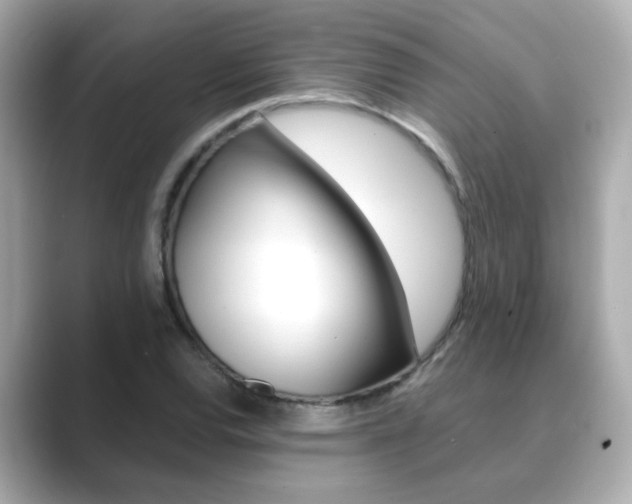 X0000089751120200706210918
