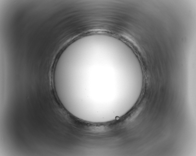 X0000089751121200706210918