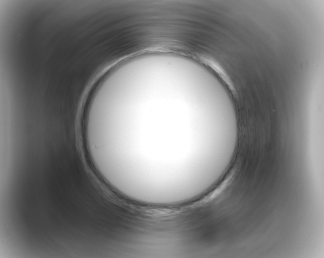 X0000089751122200706210918